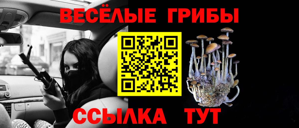 Галлюциногенные грибы Cubensis  Вход с VPN  Киреевск 